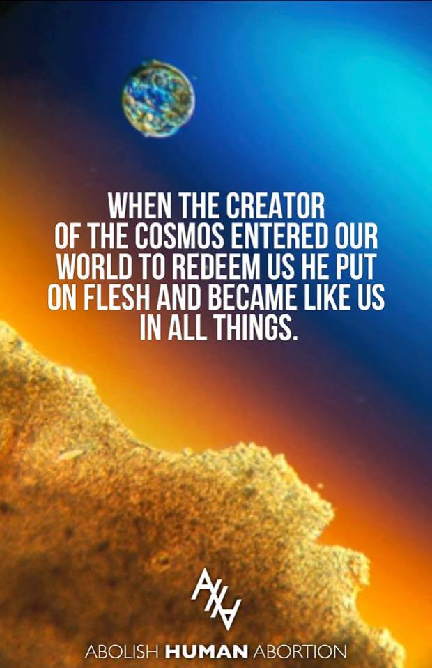 Like us in all things