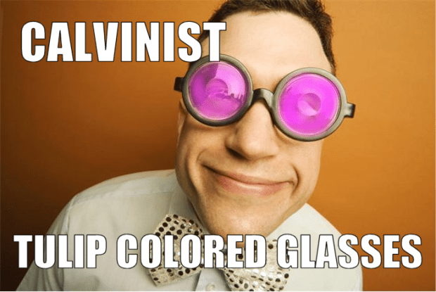 Tulip Colored Glasses