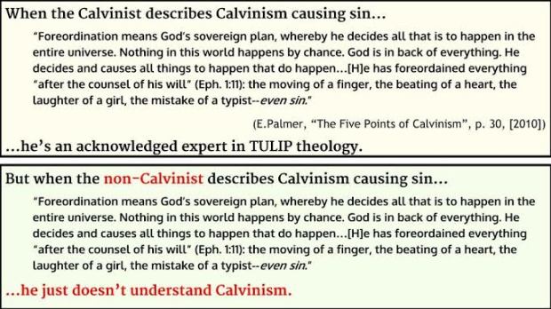 what-calvinism-says